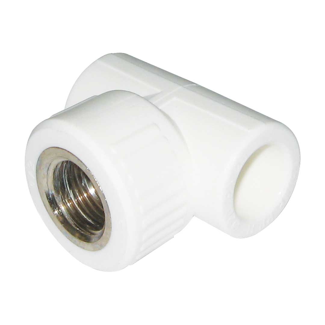 Teu PPR, F - 25x1/2"